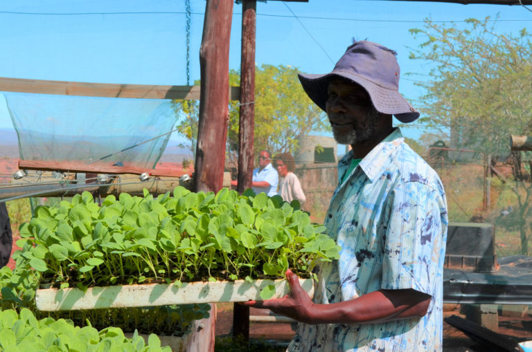 climate resilient